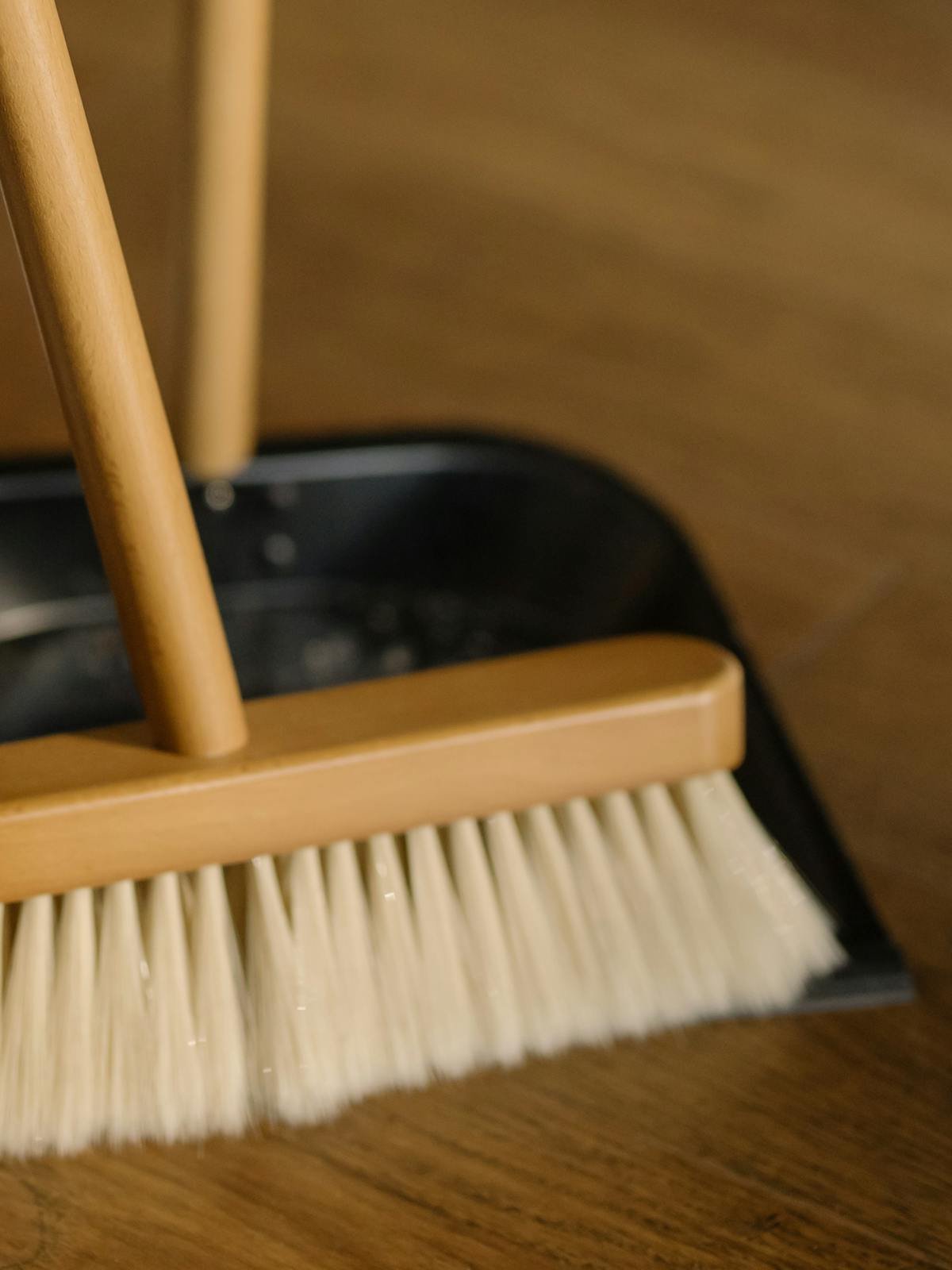 Professional cleaning team in uniforms arriving with window cleaning equipment
