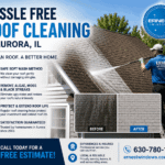 Roof Cleaning in Aurora, IL