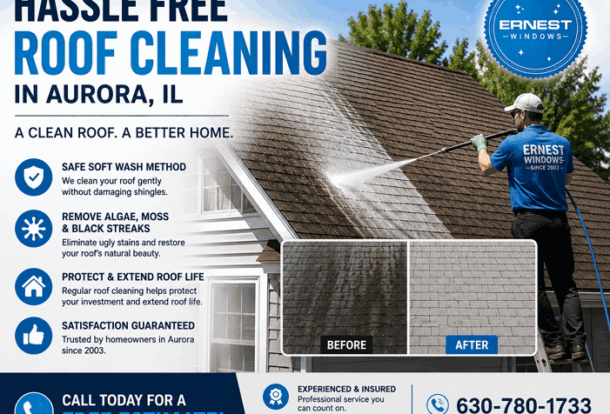 Roof Cleaning in Aurora, IL