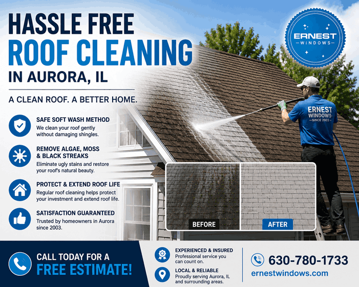 Roof Cleaning in Aurora, IL