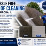 roof cleaning in Aurora, IL