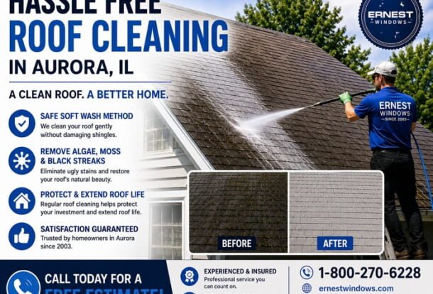 roof cleaning in Aurora, IL