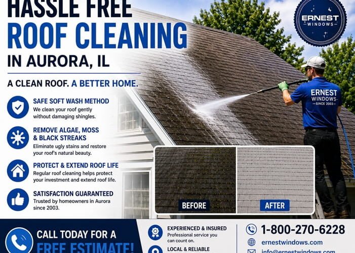 roof cleaning in Aurora, IL