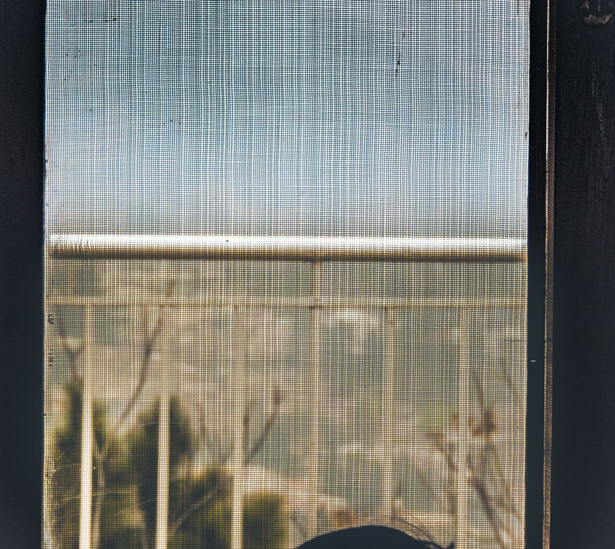 Close-up of window screen mesh that blurs the view outside