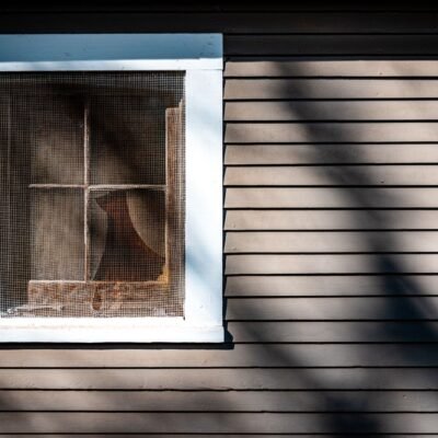 House window covered by an insect screen in afternoon sun
