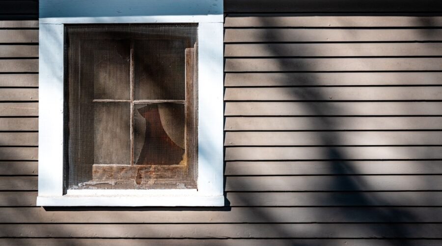 House window covered by an insect screen in afternoon sun